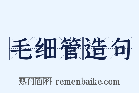 毛细管造句是什么意思的图片